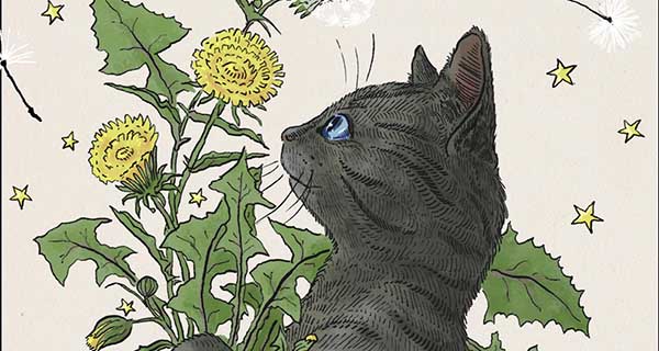 גובולינו חתול המכשפות - ספרי ילדים - הספרייה הפנטסטית